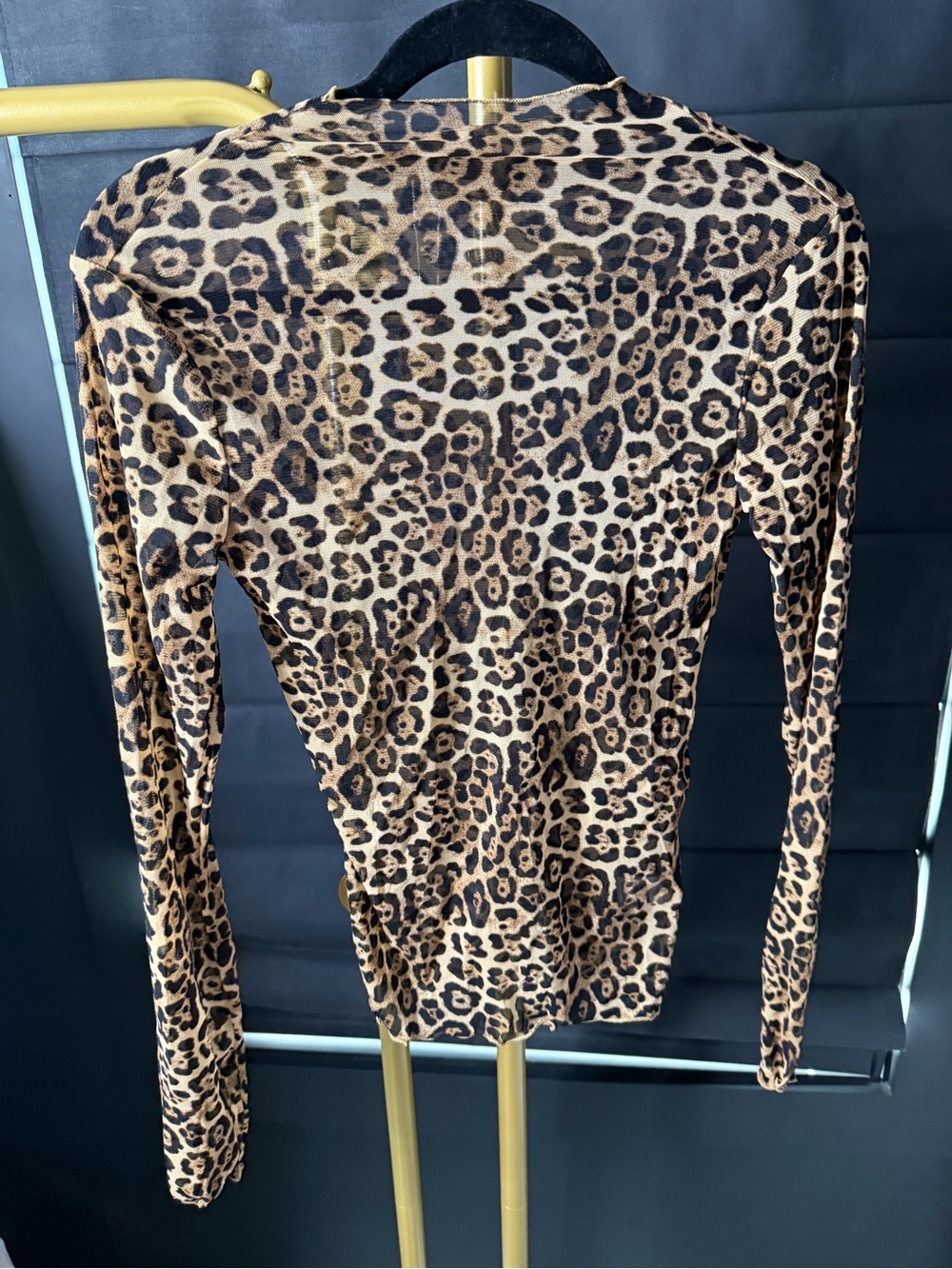 Leopard Print Long Sleeve Top in Brown